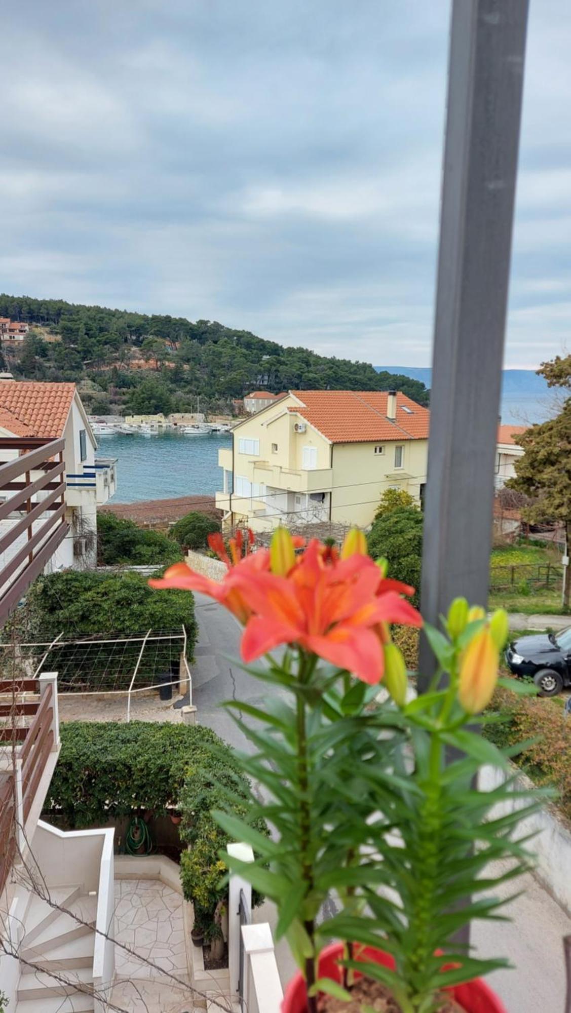 Apartmani Stambuk Jelsa  Quarto foto